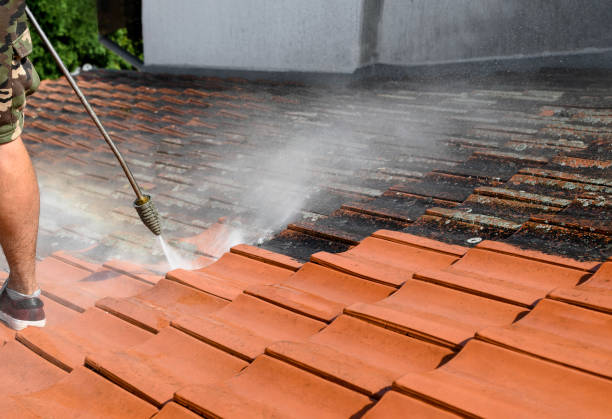 Best House Pressure Washing  in Yuc Valley, CA